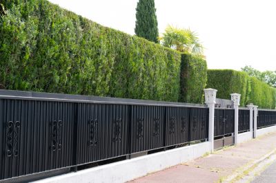 Decorative Fence Designs